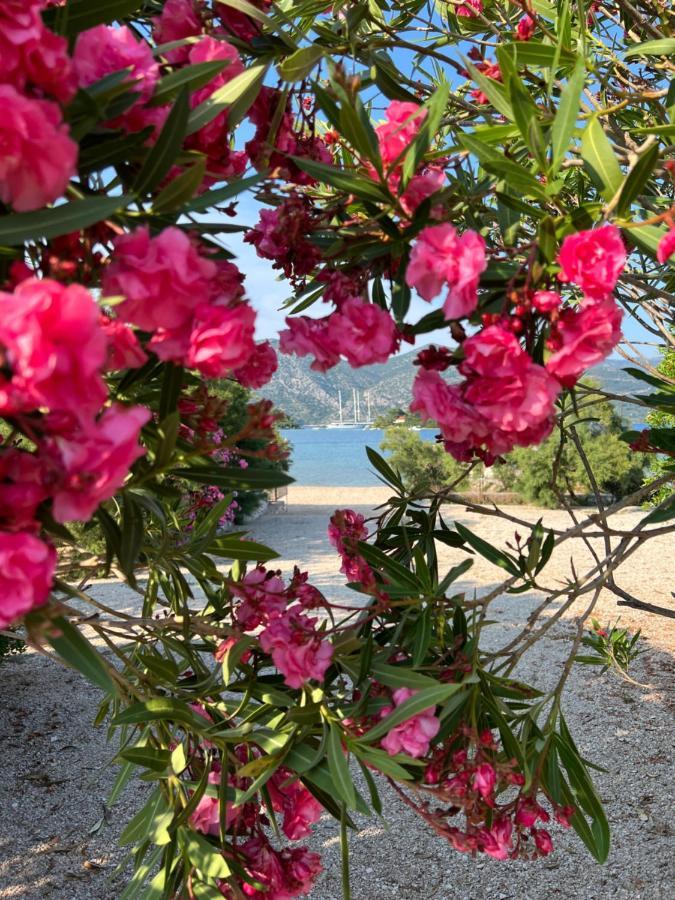 Apartmani Tonko Račišće Dış mekan fotoğraf